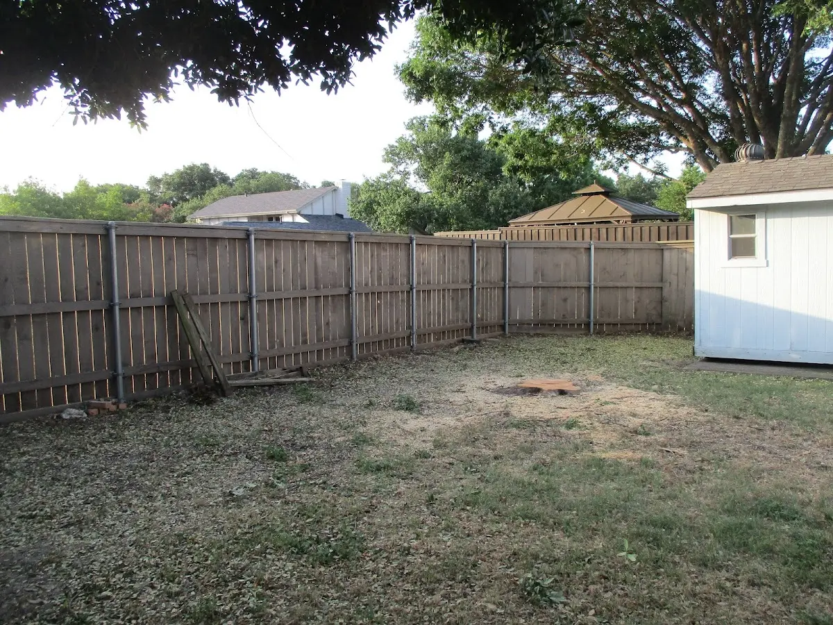 Cleared yard after professional tree removal in Felicity